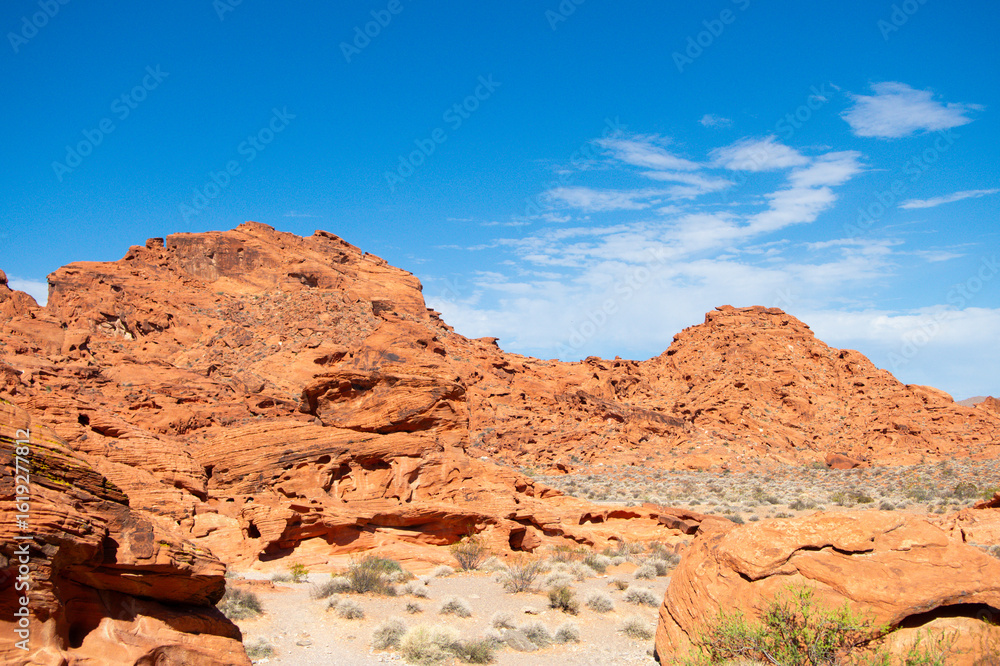 Fototapeta premium Mojave Desert Valley Of Fire
