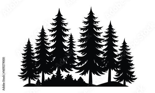 Fir trees silhouette, Pine trees silhouette vector