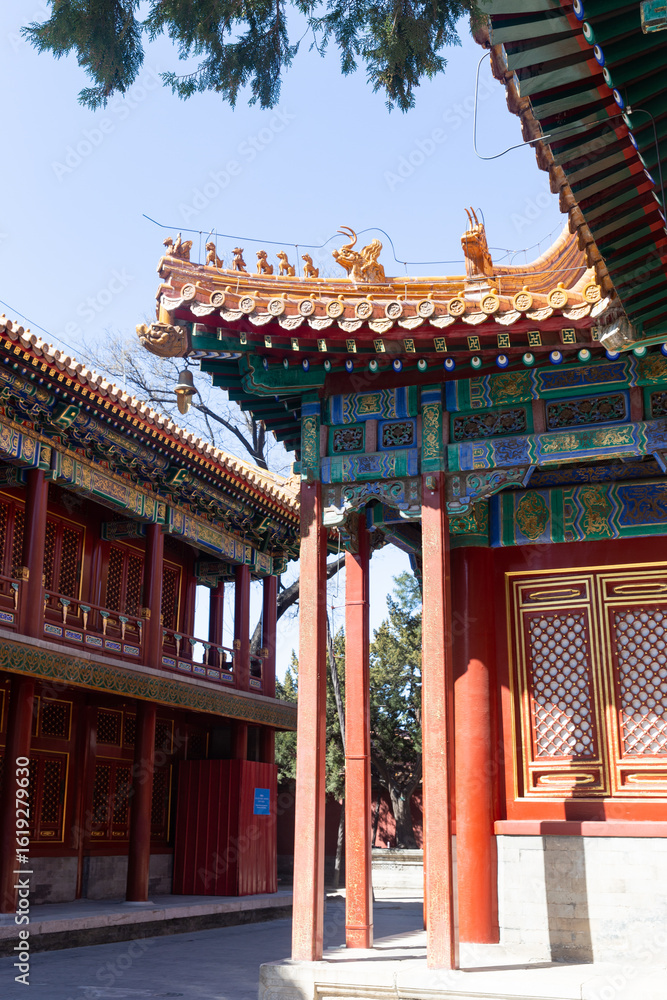 Naklejka premium Garden of Palace of Compassion and Tranquility (Cining gong huayuan)of Forbidden City