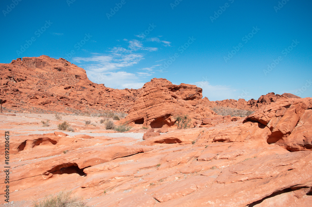 Fototapeta premium Mojave Desert Valley Of Fire