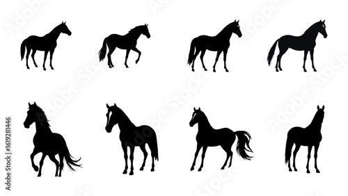 Set of Eight Horse Silhouettes in Various Poses