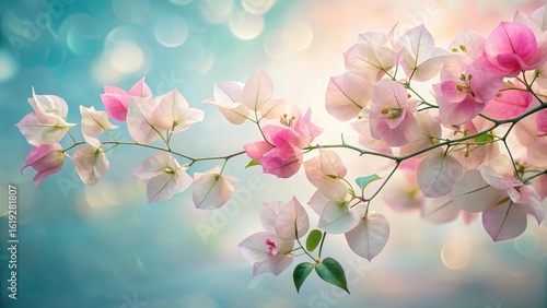 Delicate Pink and White Blossoms on a Branch Against a Soft Bokeh Background