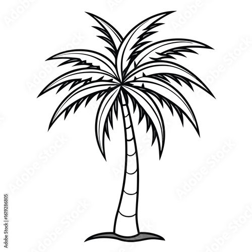 Black silhouette of a tropical palm tree on white background