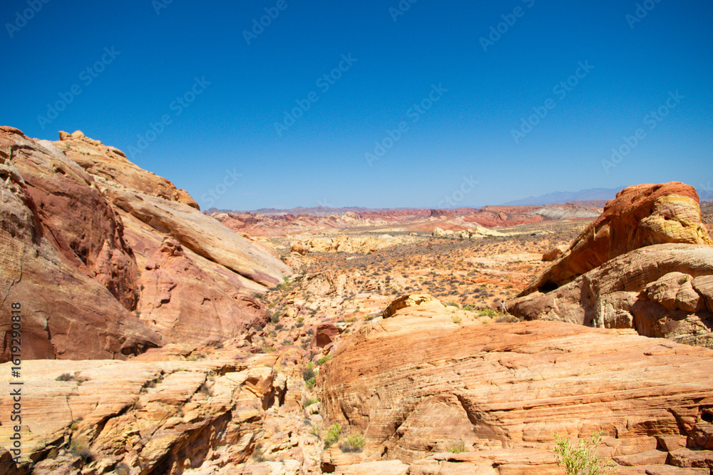 Obraz premium Mojave Desert Valley Of Fire
