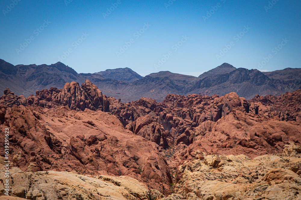 Fototapeta premium Mojave Desert Valley Of Fire