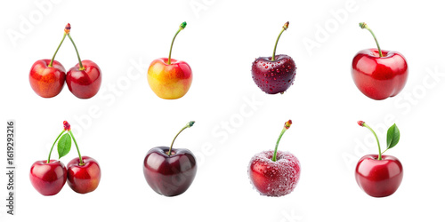 A delightful selection of cherries in various shades of red and purple, some with stems and leaves, including sugardusted varieties, all isolated on a transparent background