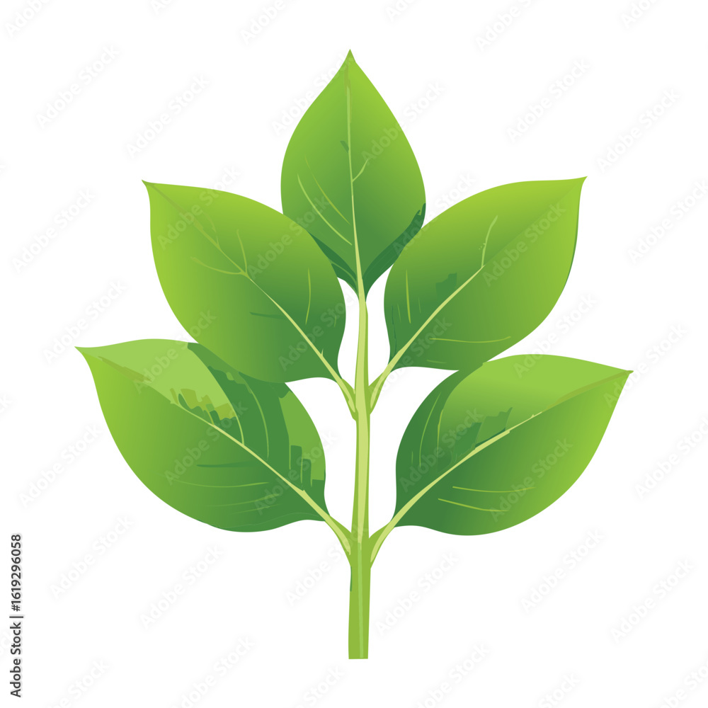 Fototapeta premium Fresh Green Plant Leaves Cluster