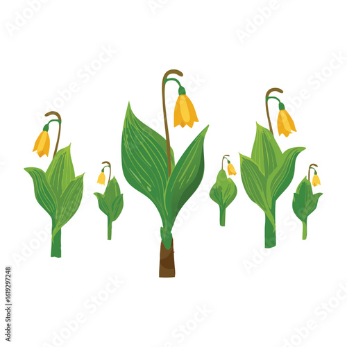 Upright Yellow Bell Flowers Branch