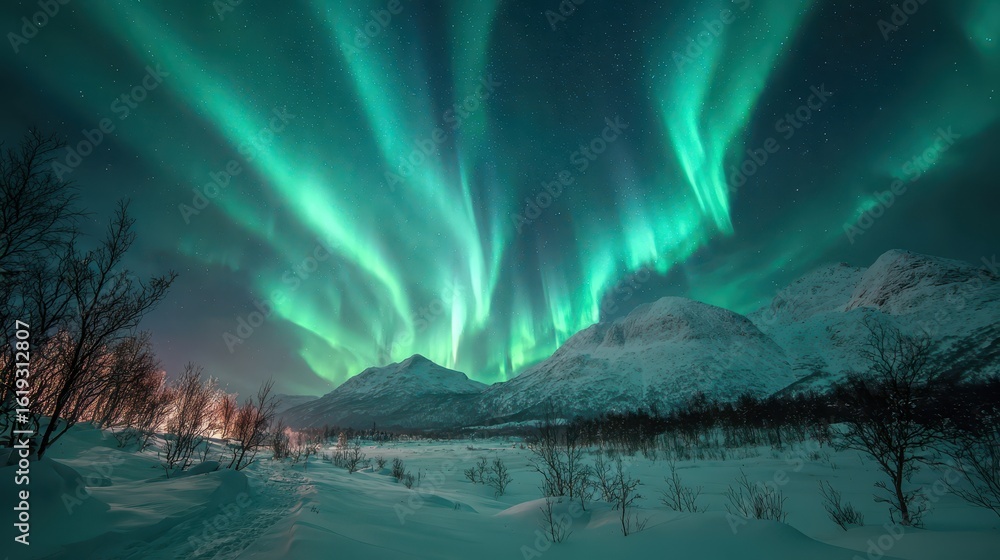 Naklejka premium Aurora Borealis over Snowy Mountains in Norway night sky for Travel Advertisement