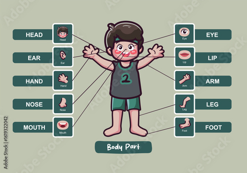 Human  Body Parts Illustration for Kids Learning