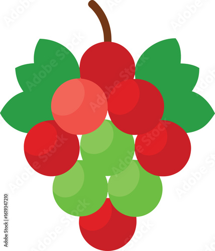 cluster of grapes some red some green on a transparent background