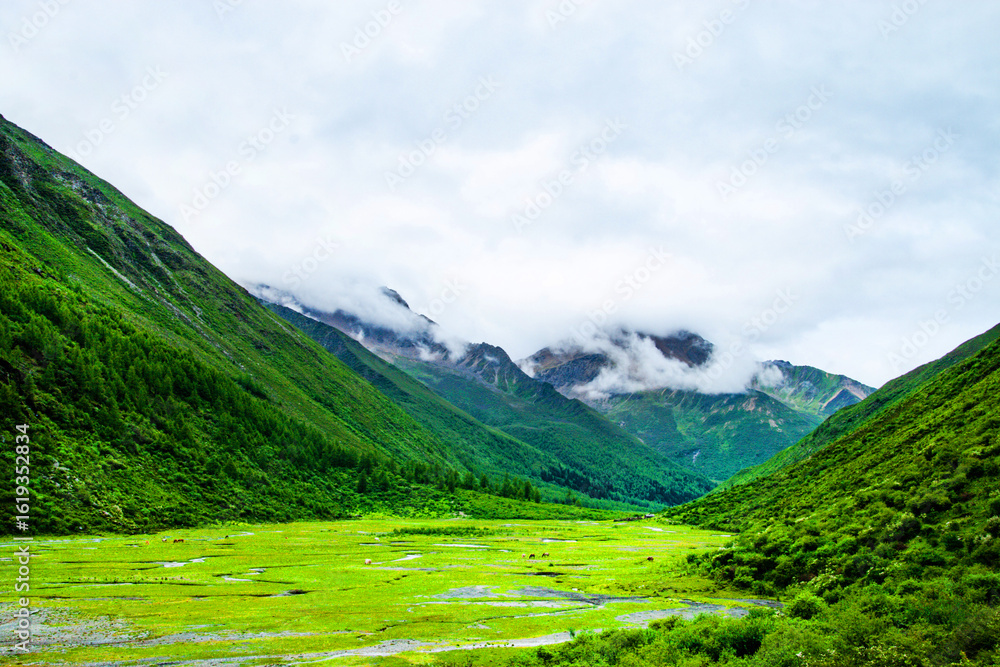 Obraz premium Aerial Trekking Adventure Through Primitive Forest Plateau Of Siguniang Mountains