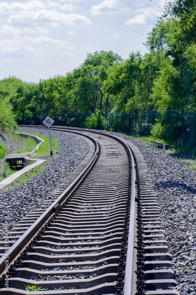Fototapeta premium Outdoor Railway Tracks Cutting Through Lush Green Forest Landscape