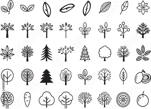 Various botanical and fruit illustrations leaf tree