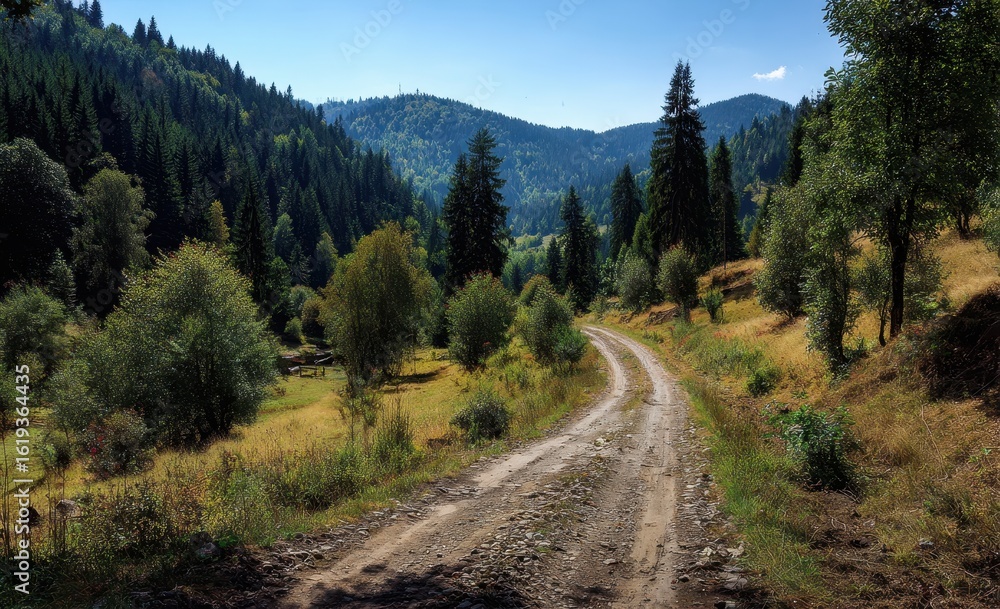 Winding dirt road through a sunlit valley