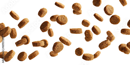 Dog food kibble falling in mid-air
