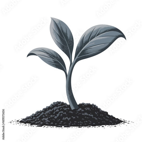 Young plant sprout growing from soil isolated on white background