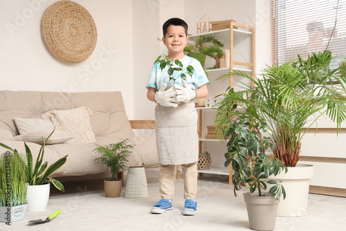 Cute little Asian boy with ...