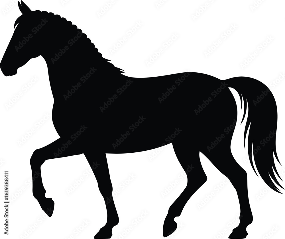 Obraz premium Elegant black horse silhouette animal equine