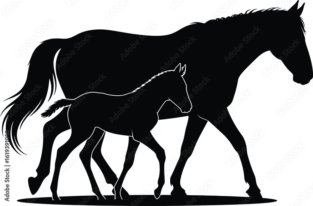 Obraz premium Mother horse and foal walking mare colt