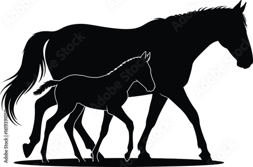Mother horse and foal walking mare colt