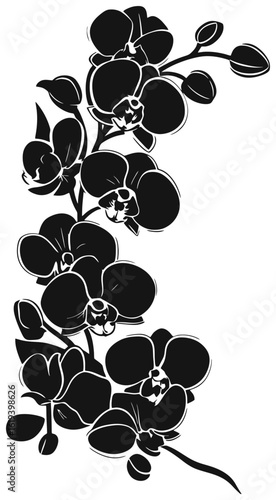 Silhouette of orchid flower corner border ornament