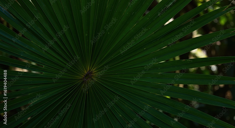 Obraz premium Lush Palm Frond Detail