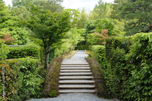 the famous royal japanese garden in kyoto with lush plants 