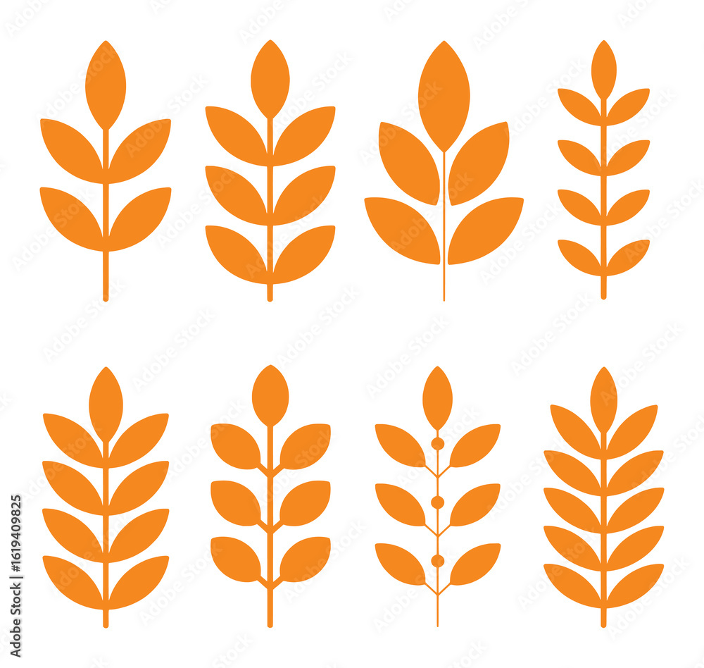 Fototapeta premium Orange Plant Stems Leaves Botanical Elements Collection leaf