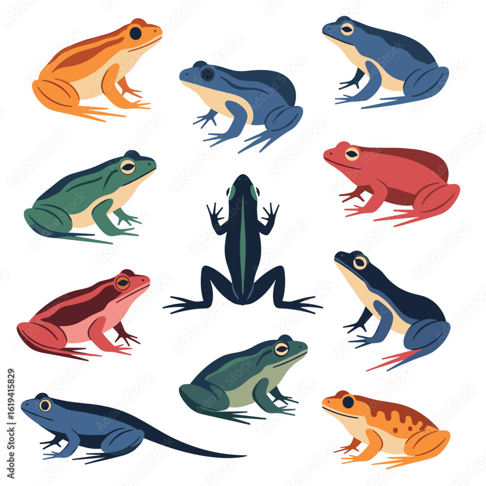 Fototapeta premium An artistic collection of diverse amphibian species showcasing vibrant colors and unique body structures