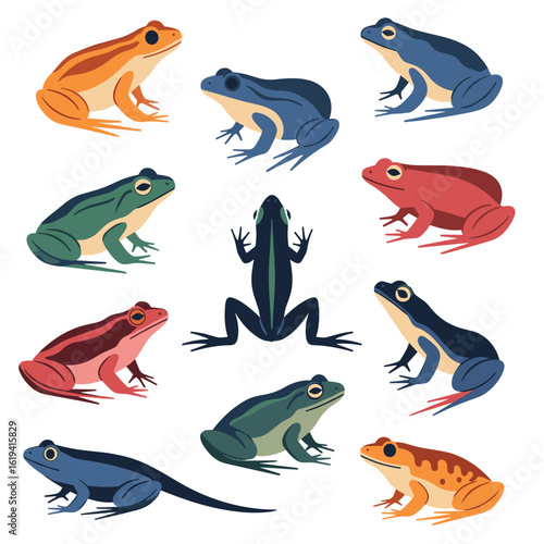 An artistic collection of diverse amphibian species showcasing vibrant colors and unique body structures