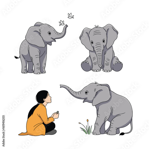 Adorable baby elephants interacting with a kind person and a butterfly adorable baby elephants interacting with a kind person