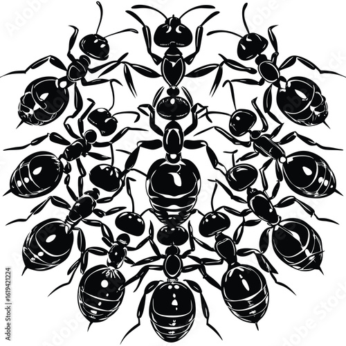 black ants isolated on white illustration