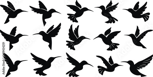 vector silhouettes of humingbird