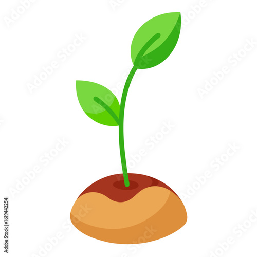 Sprouting seed vector on white background.