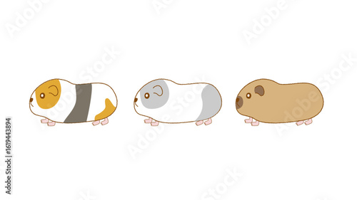 複数のモルモットが列を作り歩く可愛いイラスト