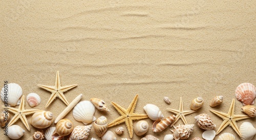 Seashells on sand
