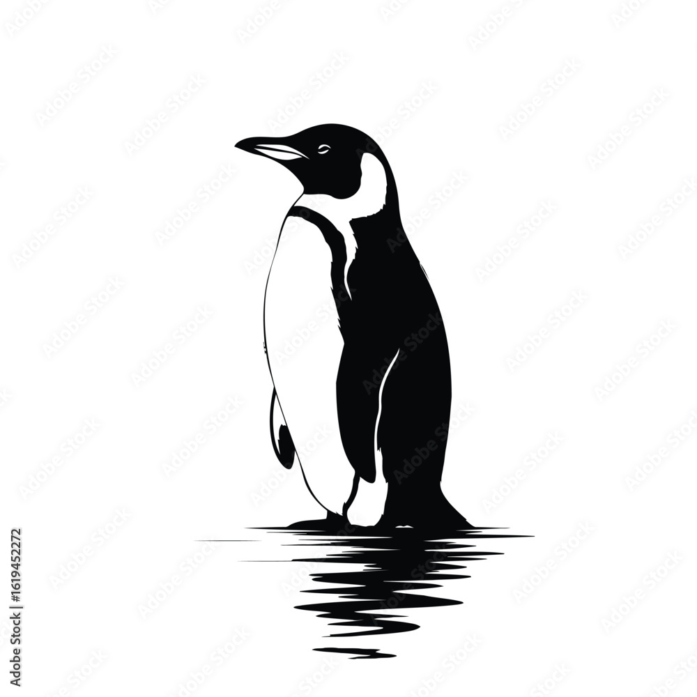 Obraz premium Black and white penguin standing in water bird animal