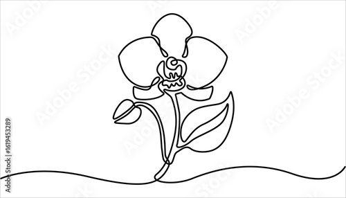 Phalaenopsis Orchid Flowers Continuous Line Drawing with Editable Stroke, Beautiful orchids line art pattern. Hand drawn orchid flowers.  Minimalist art, Exotic flowers drawing on simple background.

