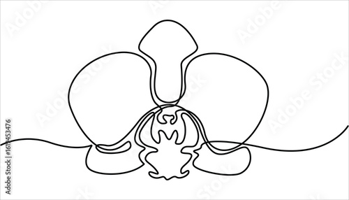 Phalaenopsis Orchid Flowers Continuous Line Drawing with Editable Stroke, Beautiful orchids line art pattern. Hand drawn orchid flowers.  Minimalist art, Exotic flowers drawing on simple background.


