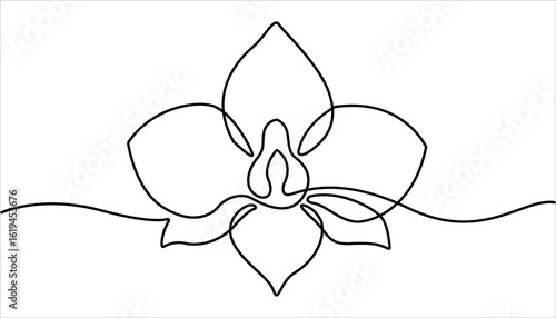 Phalaenopsis Orchid Flowers Continuous Line Drawing with Editable Stroke, Beautiful orchids line art pattern. Hand drawn orchid flowers.  Minimalist art, Exotic flowers drawing on simple background.

