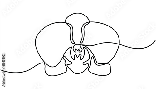 Phalaenopsis Orchid Flowers Continuous Line Drawing with Editable Stroke, Beautiful orchids line art pattern. Hand drawn orchid flowers.  Minimalist art, Exotic flowers drawing on simple background.

