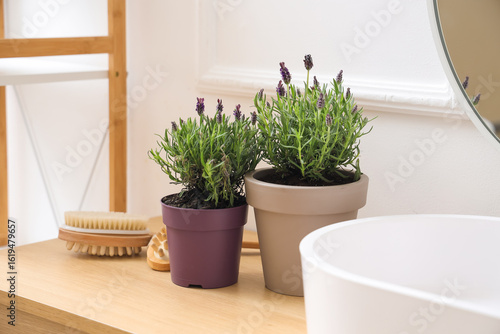 Bild auf Leinwand Pots with lavender flowers near sink in modern bathroom, closeup