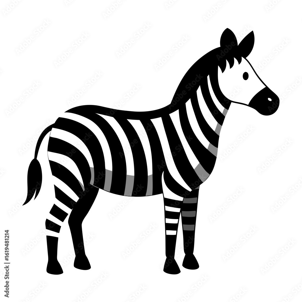 Obraz premium zebra isolated on white background