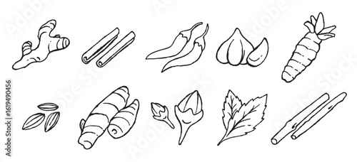 Licorice vector illustration
