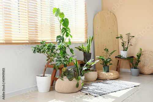 Tableau sur toile Wooden bench with different houseplants near window in room