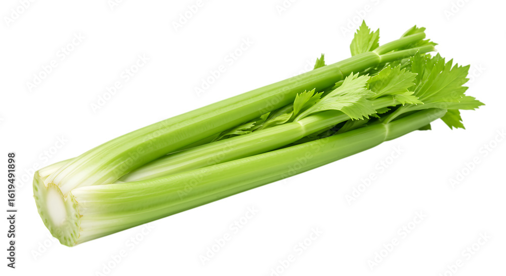 Fototapeta premium Fresh celery stalks isolated on transparent background