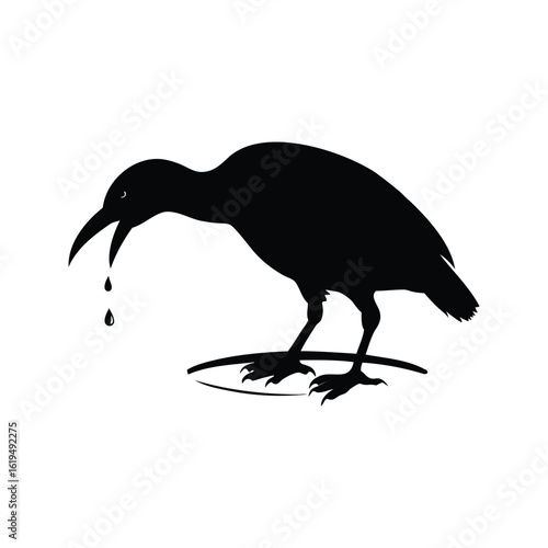 Silhouette of a Curlew Bird Drinking Water with Long Beak