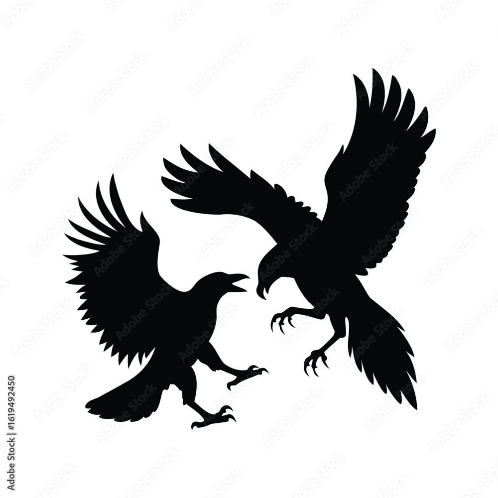 Fototapeta premium Two Silhouetted Ravens in Aggressive MidAir Confrontation, Wings Spread Wide