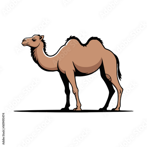 Vector Camel illustration